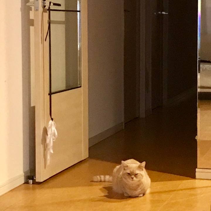 Acd8a883 b5b9 492e b296 360bd027eb9c 1569239261218