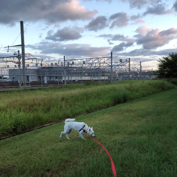 Acd8b139 de4d 4372 95a4 997790e0db4f 1535061748622