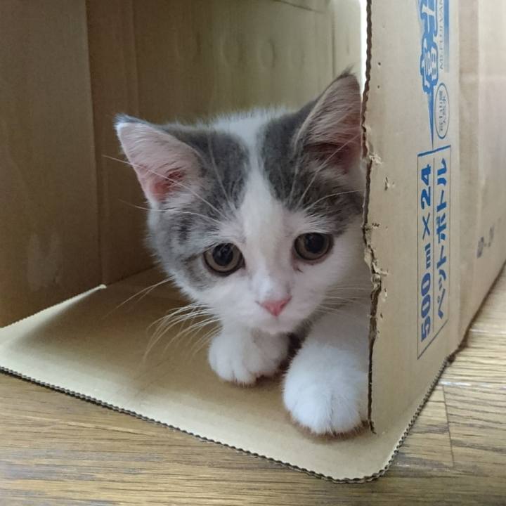 Acd8c559 79c2 411d 88ce d0731f941f07 1528972767460