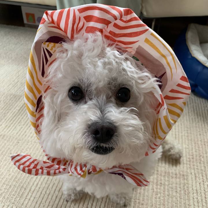 Acd9112f 1ee9 468e 88f9 47942bb4e023 1554521431088