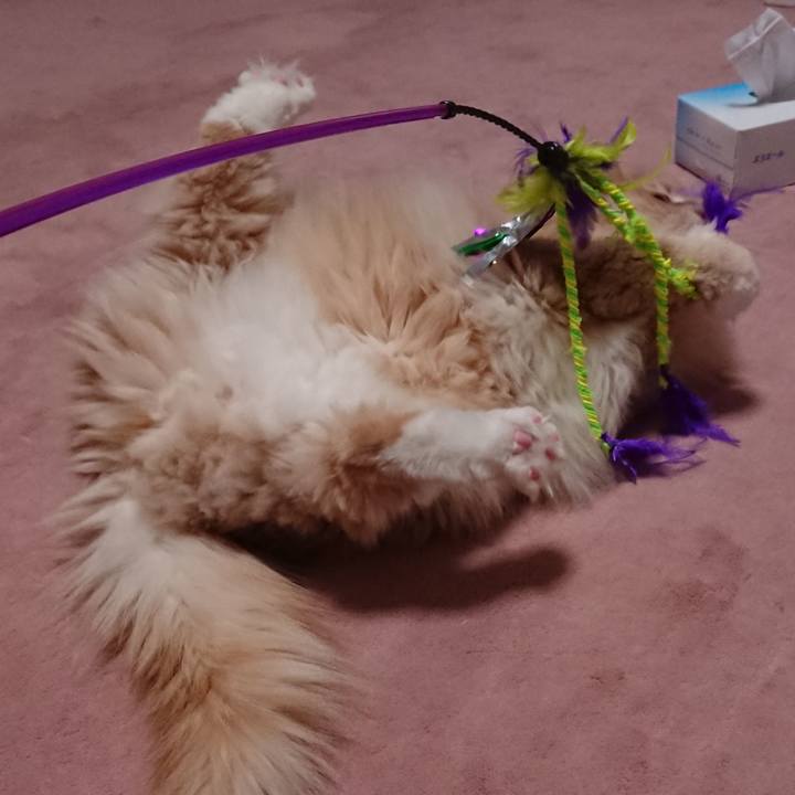 Acd91acc 58fe 4bf9 9469 4426244fa1ec 1534158322447