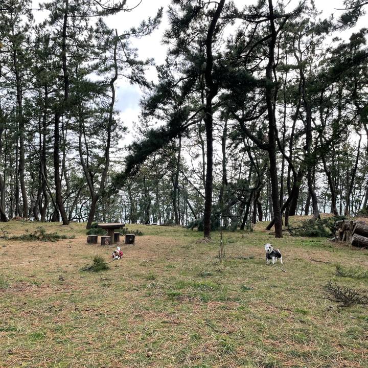 Acd91b7d 476c 4478 b37c 96451980947b 1672791962934