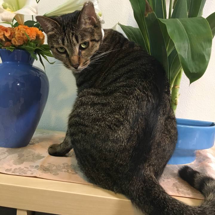 Acd942f4 020d 4339 a79b ec7facc65459 1532792738530