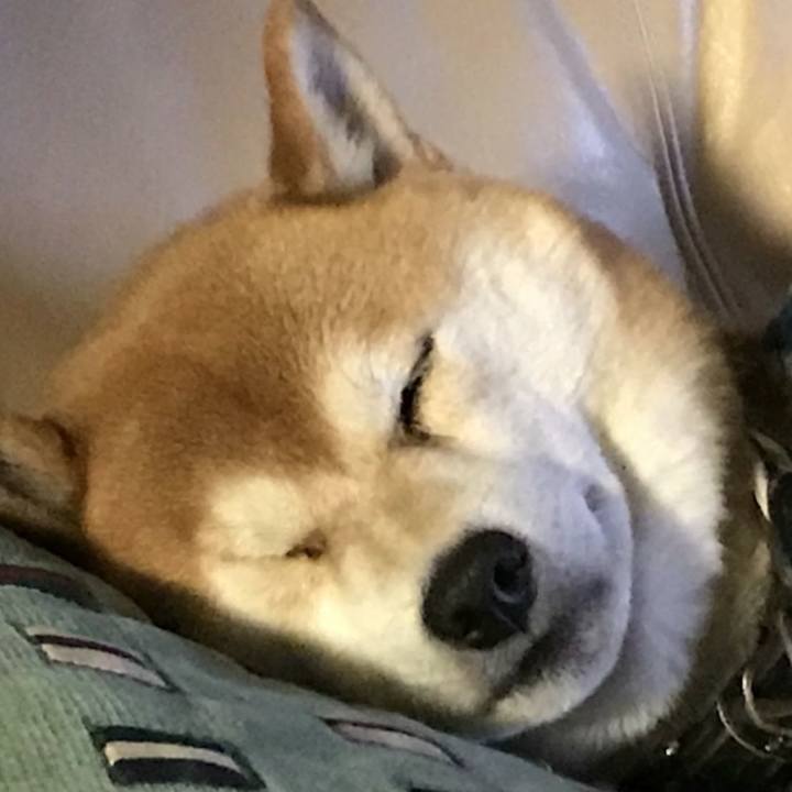 Acd9807d 8087 4b11 a282 2bc740a19818 1511770965448