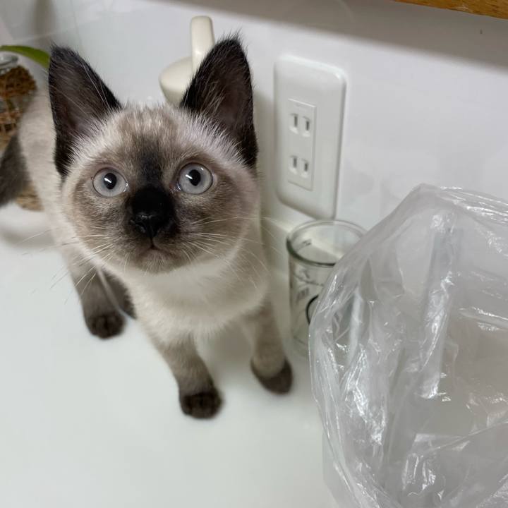 Acd9a3d7 ea43 4d57 9f1f 0a459ca64258 1689969811712