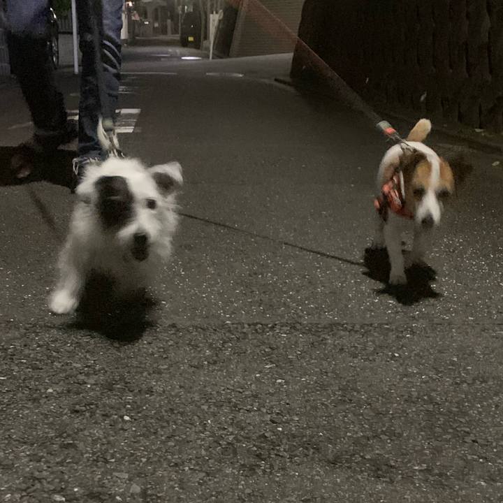 Acd9baec 36f7 4d45 83ef 5b82b1f1c76b 1633609000603