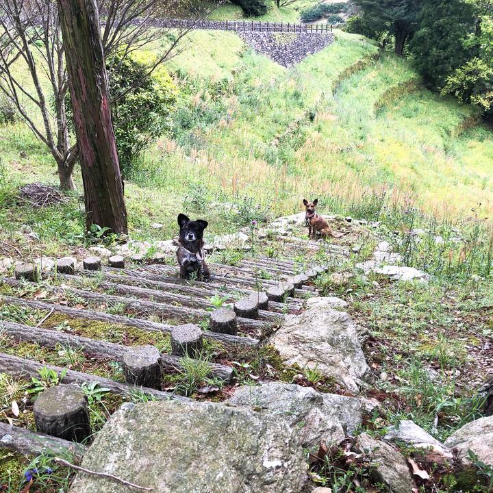 Acd9c9b6 ebe6 467a 8565 0de573291252 1587626699759