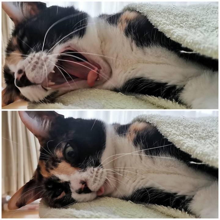 Acd9ccd2 fad0 4188 9d4c 688368088d1a 1660198769838