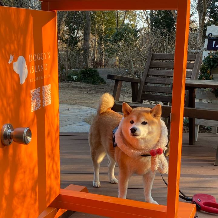 Acda2f29 6108 45f9 a80d 2af11e30b3fa 1644659412122