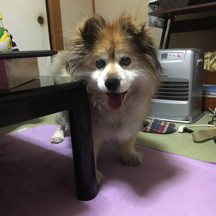 Acda34d7 e4c5 45dc afe8 1b3e1e1d056c 1564297742931