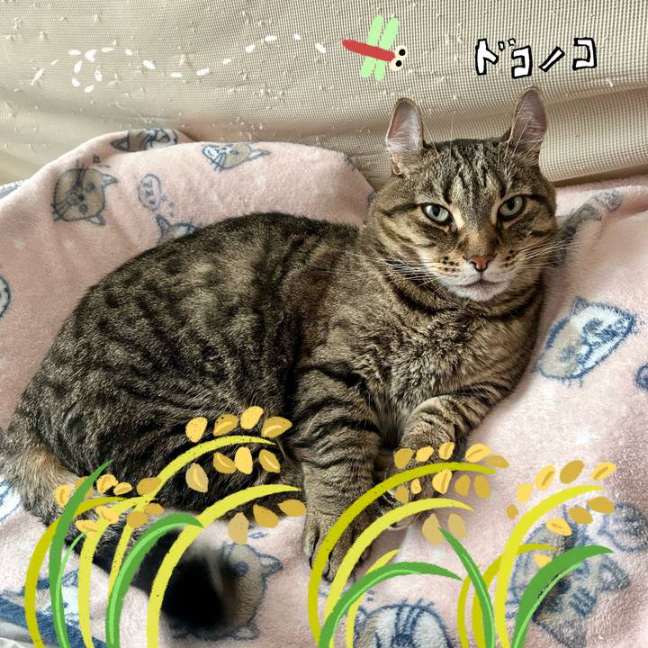 Acda5648 d8ca 492b 8cd2 44f726b4d9b6 1761176584908