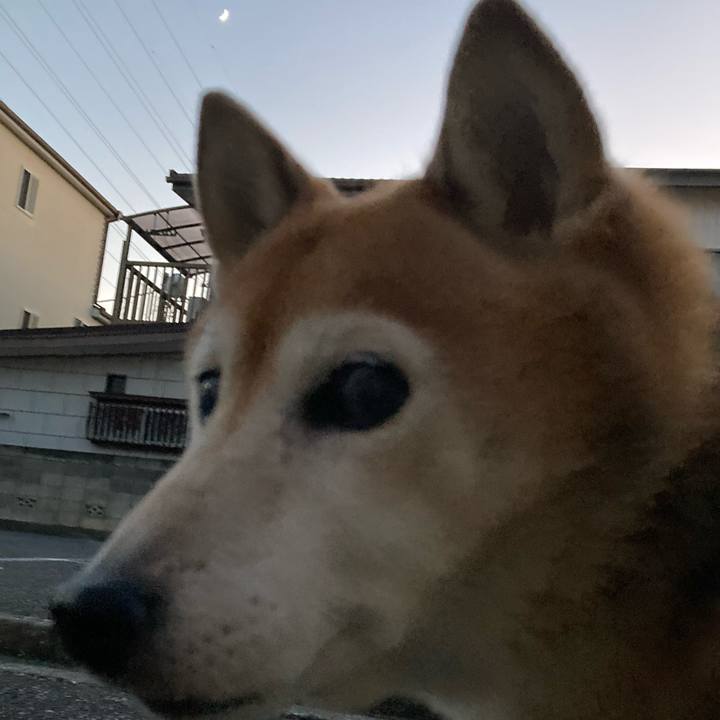 Acda6d3a 5a0c 4fec aad1 1fabbbcfc4cb 1733473671088