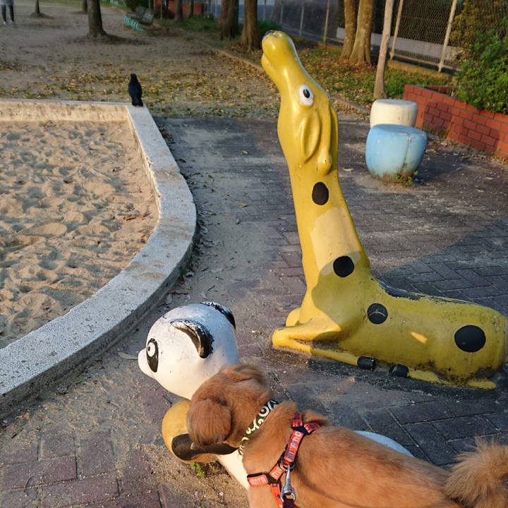 Acda9460 5123 471d 8ec0 c765c1d12b93 1522707308742