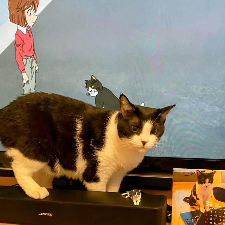 Acda9b49 9f68 497c 892e ac31a5254c6a 1772965492588