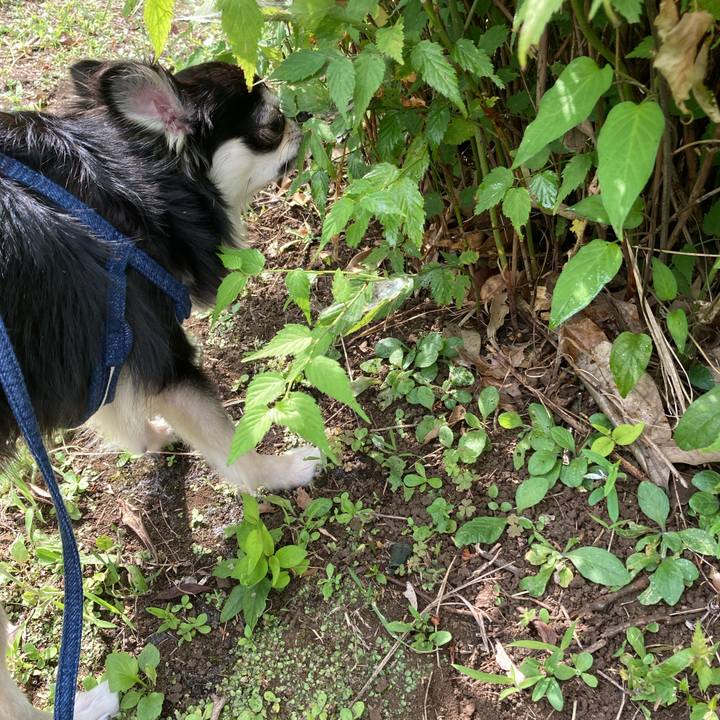 Acdaf24c 003f 4c1f 84ee fed9c04225da 1623558922971