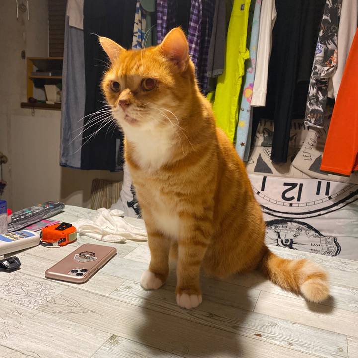 Acdafb1f 9fc6 49cc b441 33095d94c694 1607866008466