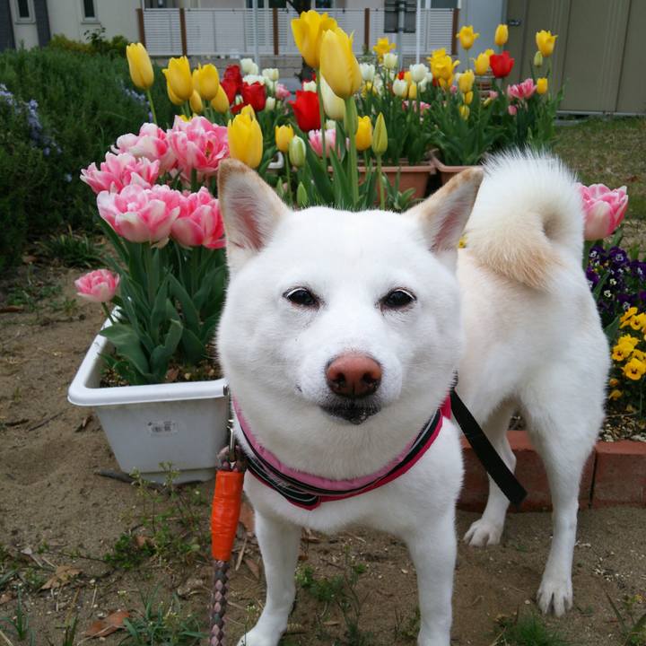 Acdb0908 a8c7 4fe1 9305 dd78b2ad4481 1556092785151