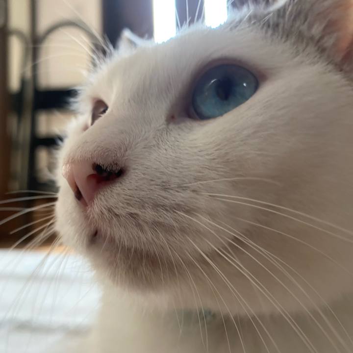 Acdb6084 c428 4d15 89f6 bdff214e3908 1602217442559