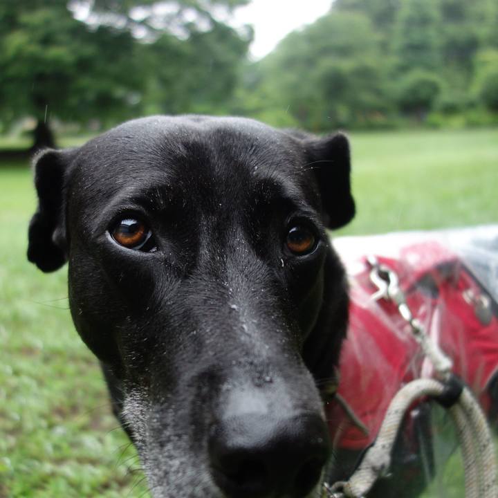 Acdb7e92 127e 4e45 bf81 d60a5df006ec 1653955083769