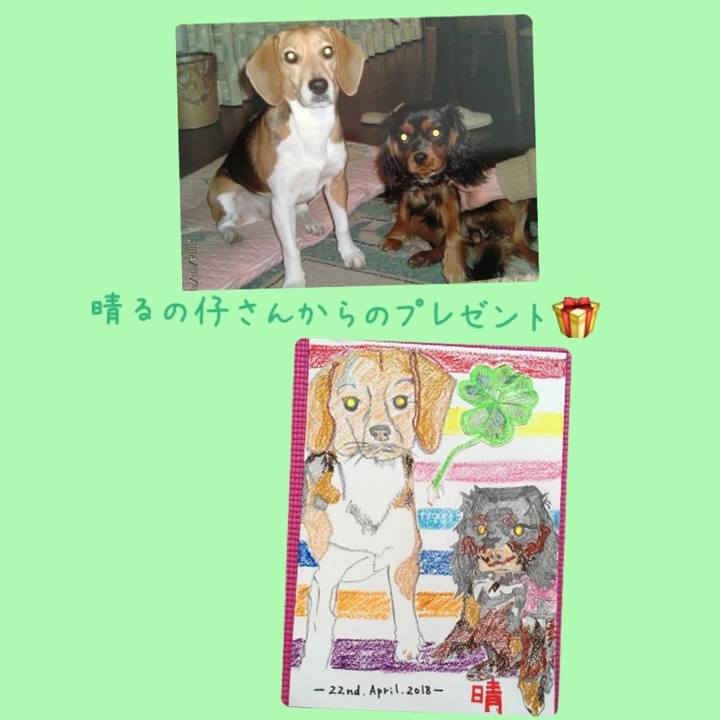 Acdba1a5 2f68 4cfc 8ff1 1ae9e2f467cd 1525141959361