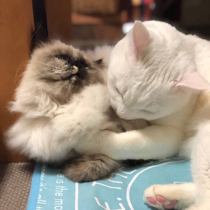 Acdbf56f 4531 4335 9327 744d069688ae 1636972428357