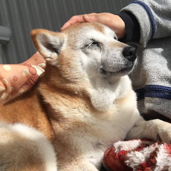 Acdc1e5a cd9b 4eb8 9851 36f66588da54 1547696514316