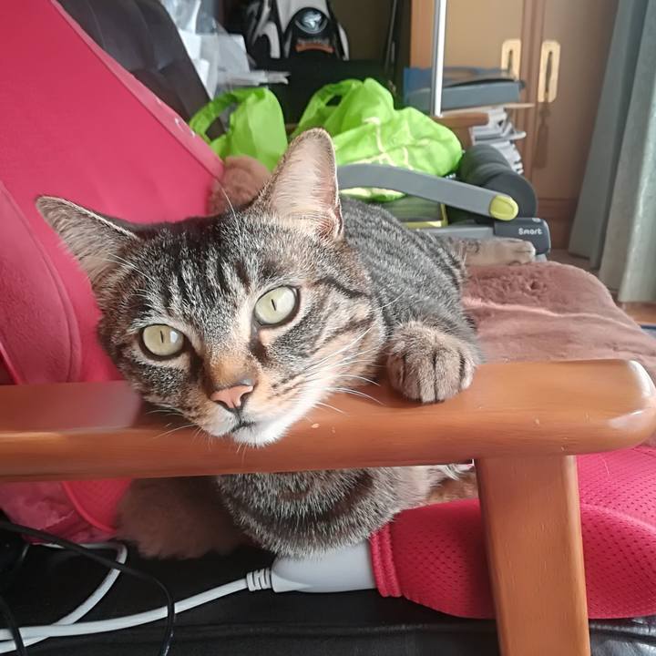 Acdc311b eb5d 4efa 8169 6ca1565f5e0e 1518582219327