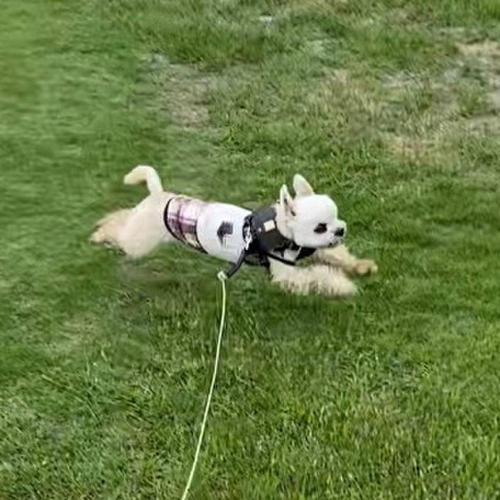 Acdc4d70 9664 4879 bdb5 94f6ab094626 1589019091044