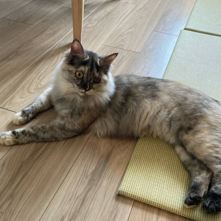 Acdc6fa8 3927 4c0e 93e8 4252a8168f34 1710555295518