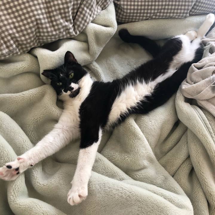 Acdc9d9e 2d5c 42de a9ce 1c593a0e3a85 1584831826236