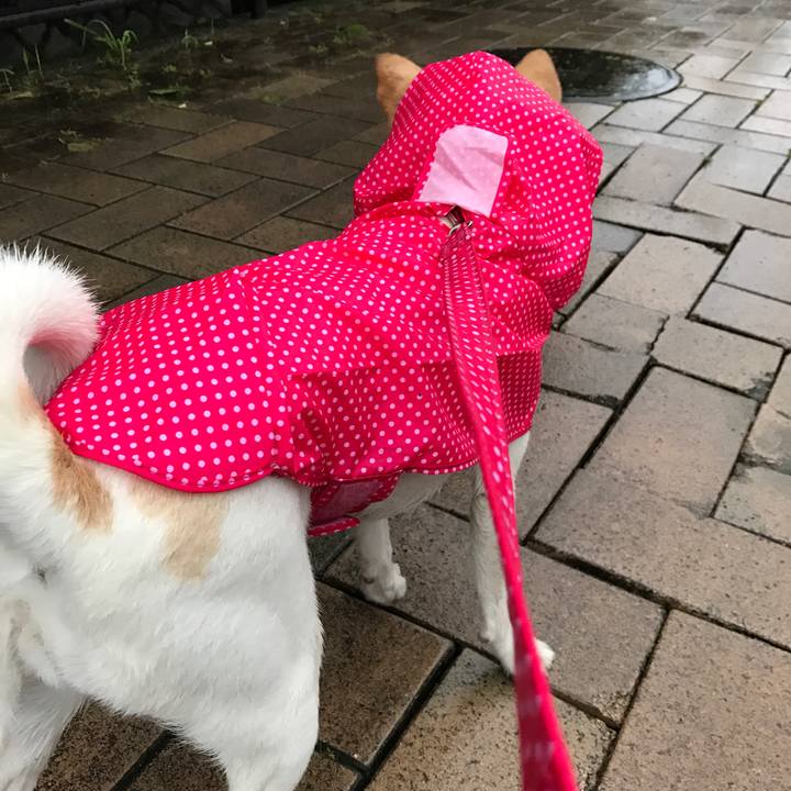 Acdcbc4d f010 4f96 9ca5 150b2ff2d4c9 1528256969794