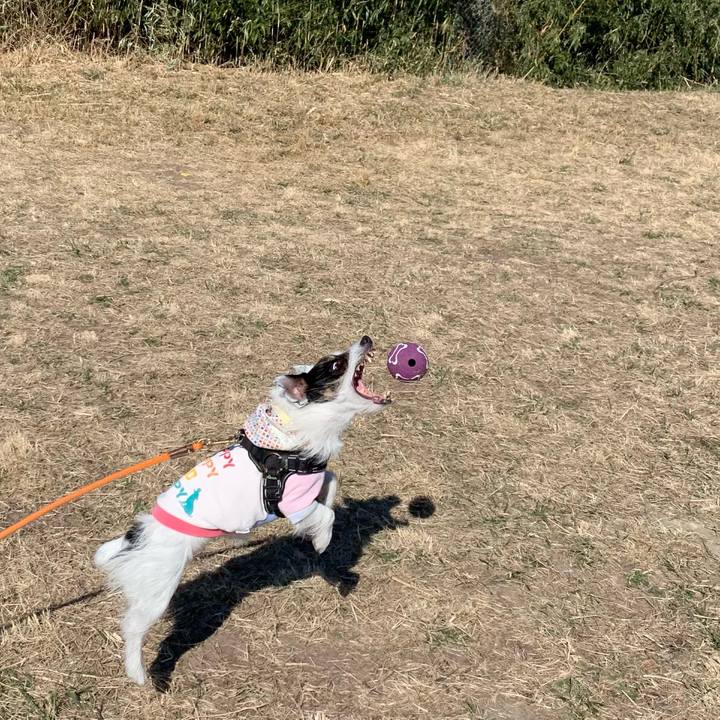 Acdcff63 7169 4d79 a5b7 5f4977d9d165 1677464155775