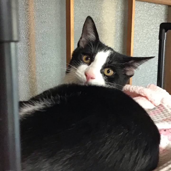 Acdd13d6 21a1 41c8 9dd4 356023cacfe8 1631692554766