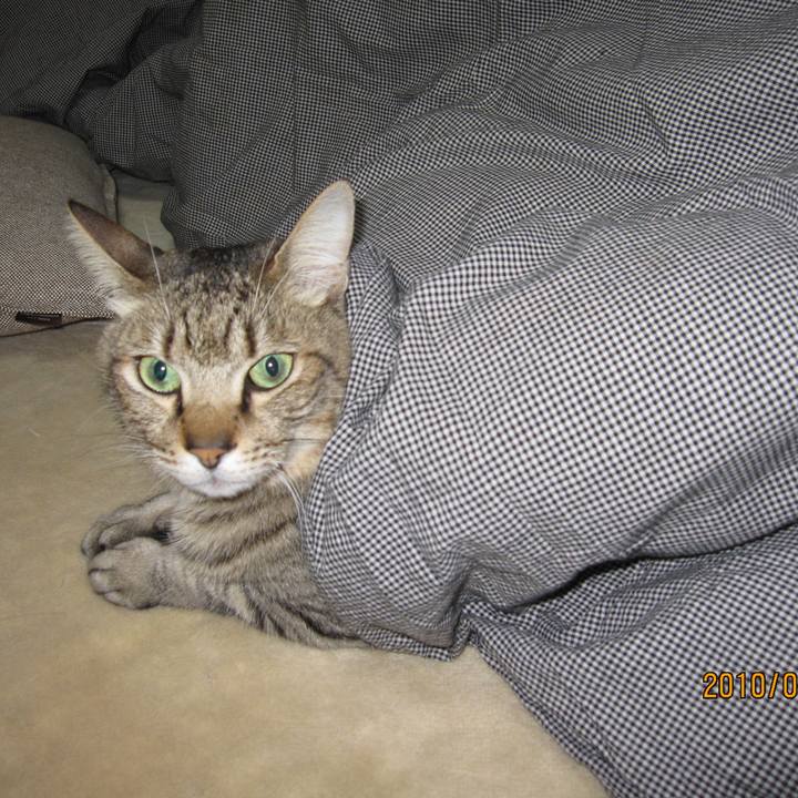 Acdd5d0a e03a 45db 97d6 e46fa70a5b8e 1593302331463