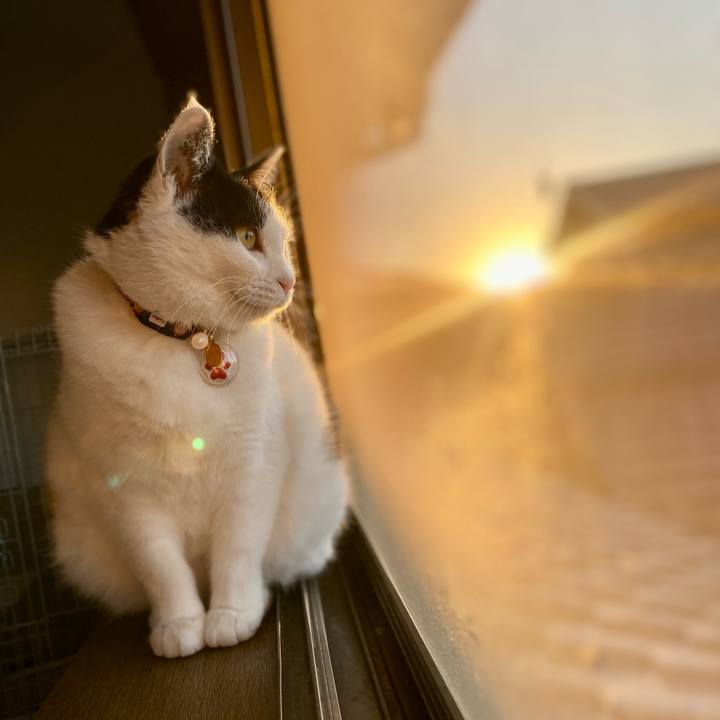 Acdd6df7 f15f 4709 9816 5a987c4a5e56 1647295409956