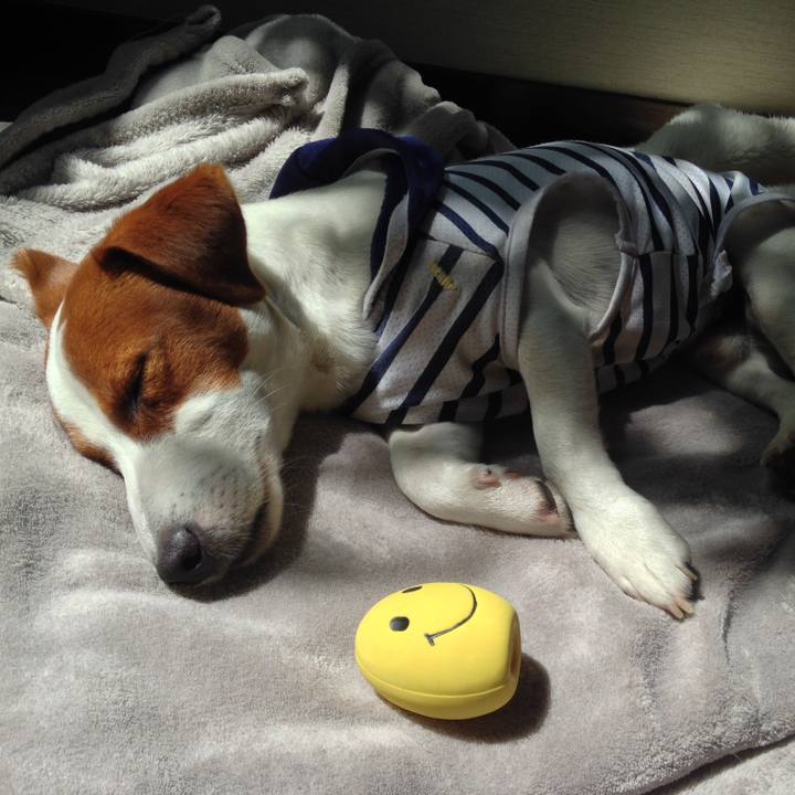 Acdda7bc a4f8 4f89 9296 6f3829ba3f44 1536654240435