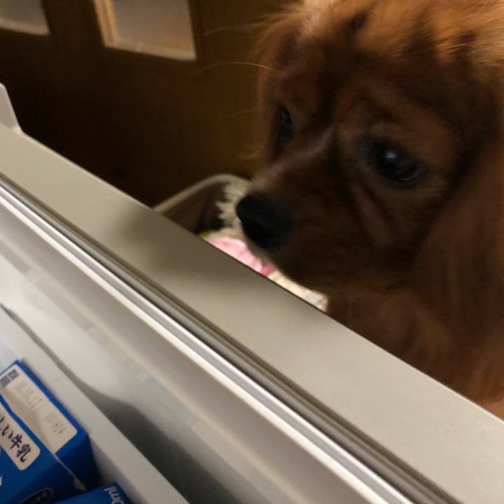 Acddec07 d32a 44e2 9d8b 94e8f7da442a 1538605157350