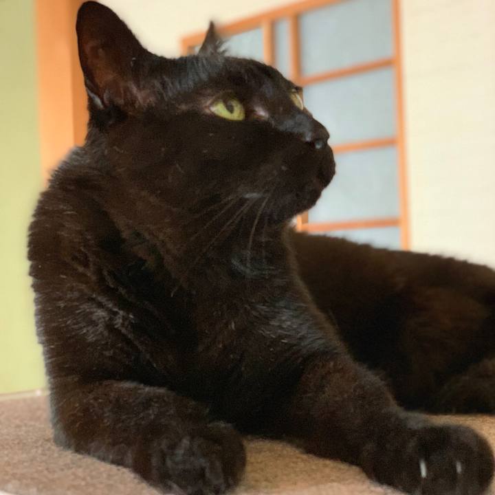 Acde0486 3580 43f2 8496 3d2ff8698e3a 1590282347449