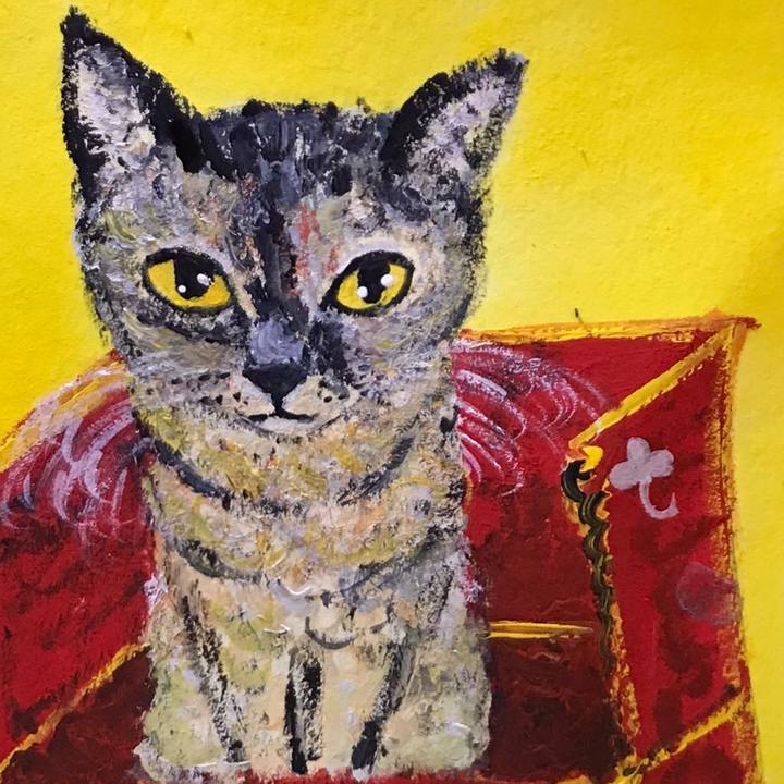 Acde07a7 746c 4b97 8592 59d78b7cd56b 1611579441558