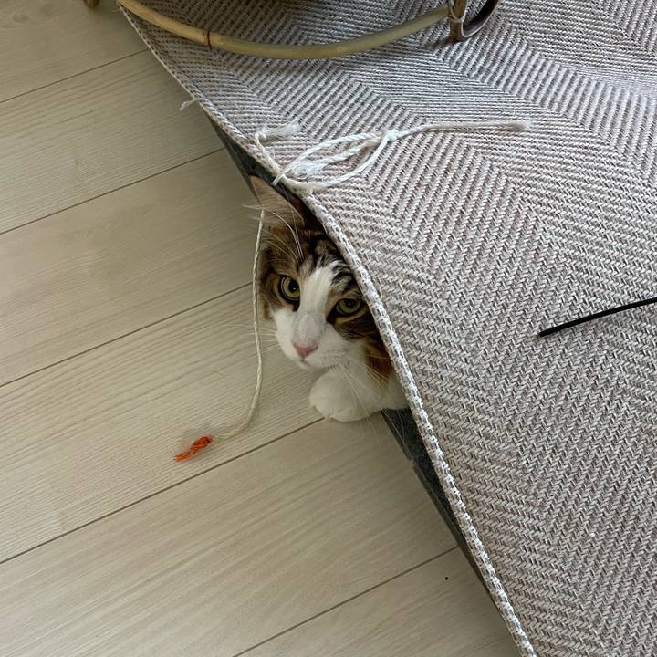 Acde3dff 8fac 4af7 8f9f 5b390a279f5f 1661289487008