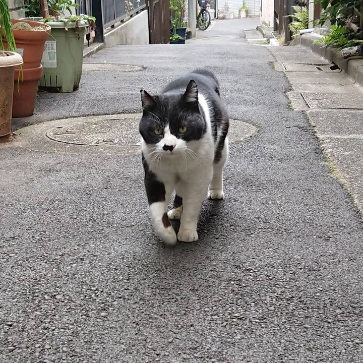 Acde55af 5a27 4951 beb1 849f6f635190 1677302710002