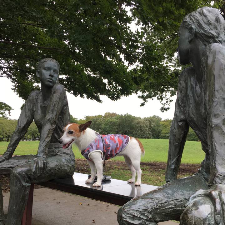 Acde62ee f5c3 4e81 8903 b0229013d284 1568691051148