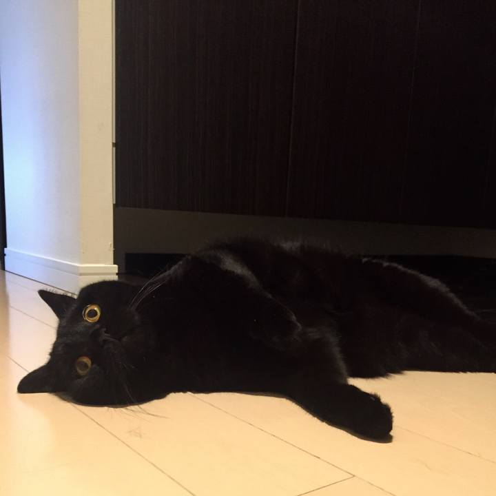 Acde6c53 c77d 4c4f be8d 69ab1d883dde 1533028025718