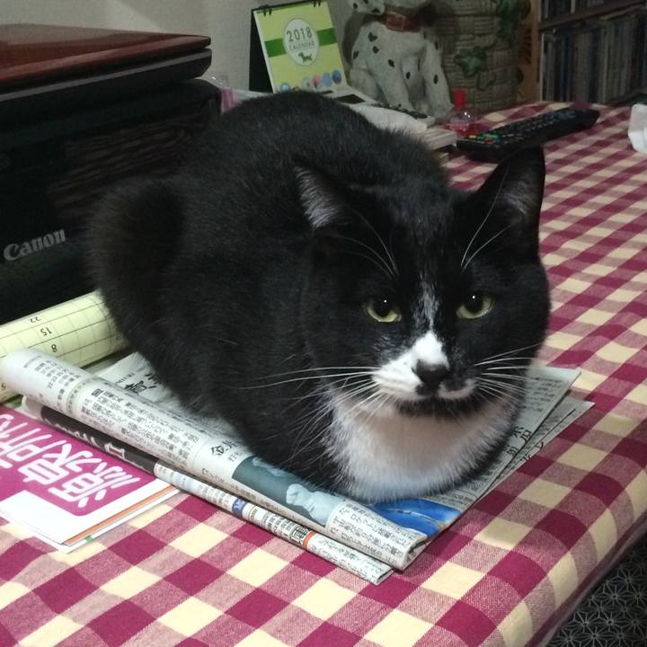 Acde8838 995a 4606 8657 786bb252f10e 1513827937416