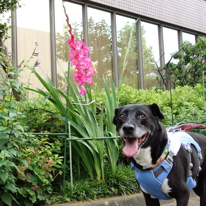 Acdeafc2 6d91 4fed ba6a 337188bce43b 1720222125686