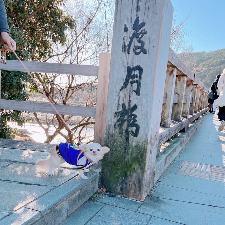 Acdeb8a6 ad50 4a4d a70f e2ac15b06c83 1672475457600