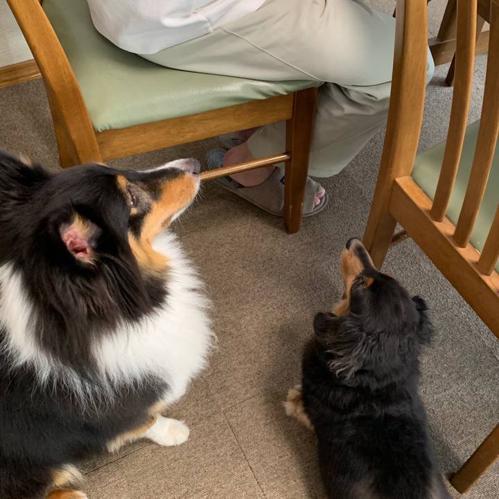 Acdebb3a e4bc 4c12 a85e 67bc6c98e6c2 1568324022333