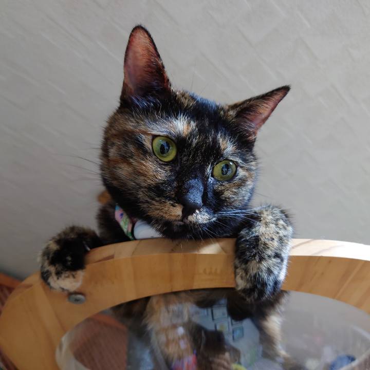 Acdec69e 728e 40a4 a1f5 1665ae7d1c38 1627043518417