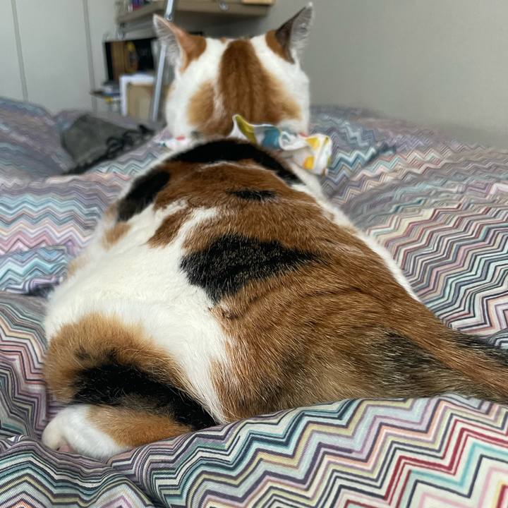 Acdf08f0 5a63 4aae 9d94 645430896013 1768009743423