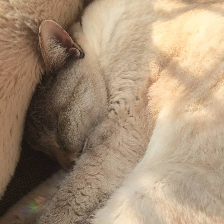 Acdf0a5b 44dd 44c2 8387 68368eb6e7b6 1521949744707